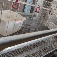 قفس مرغ تخمگذار سه طبقه