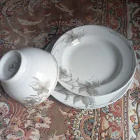 سرویس پزیرایی ۲۴ نفره