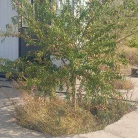 زمین در بهترین موقعیت جاده تبریز صو فیان|فروش دفتر صنعتی، کشاورزی، تجاری|صوفیان, |دیوار