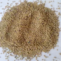 فروش بذر تضمینی|خدمات باغبانی و درختکاری|شیراز, قصرالدشت|دیوار