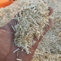 کاه گندم