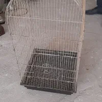 قفس بزرگ پرنده