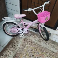 سایز 16 خوش رنگ مارک راپیدو اصلی