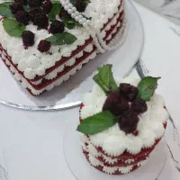 کیک، ژله ،دسر،حلوا به صورت تخصصی و رژیمی|خوردنی و آشامیدنی|شیراز, پودنک|دیوار