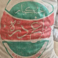 گردو بلغاری