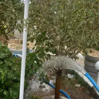 چاه کن  مقنی مغنی حرفه ای