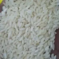 برنج عنبربو دیره