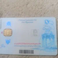 فروش گوساله نر هلشتاین 8ماه 53میلیون تومان
