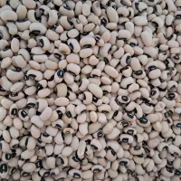 حبوبات ایرانی درجه ۱ نرخ عمده ارزان|خوردنی و آشامیدنی|کوهدشت, |دیوار