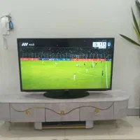 گل سانسوریا