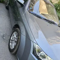 دنا خاکستری معمولی