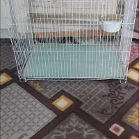 قفس بزرگ800تومن