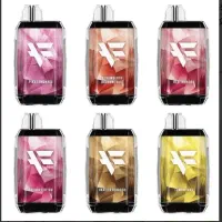 ویب 8000پاف دینرلیدی