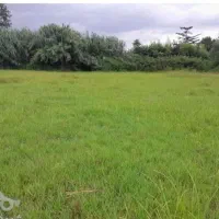 فرصت-طلایی-خرید-باغ-با-مجوز-ساخت-در-بیضا