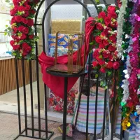 دیزاین و جایگاه یلدایی|خدمات پذیرایی، مراسم|بجنورد, |دیوار