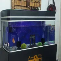 فروش آکواریوم بزرگ وپایه دار