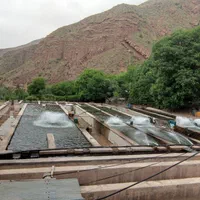 فروش-18000-متر-مزرعه-پرورش-ماهی-الموت-شرقی