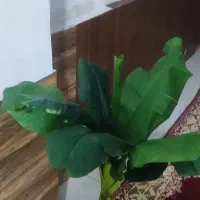 گل مصنوعی|گل مصنوعی|تهران, جی|دیوار