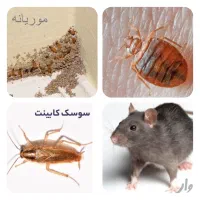 سم پاشی/کل شهر اهواز/موریانه زدایی/ساس سوسک موش