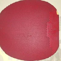 فروش رویه راکت پینگ پنگ