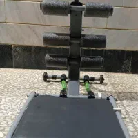 دراز نشست تن تاک