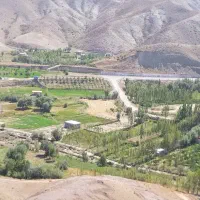 زمین بیلوردی