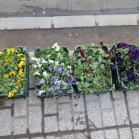 آنلاین|کنسول، بازی ویدئویی و آنلاین|مشهد, گلشور|دیوار