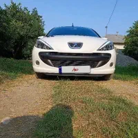 ۲۰۷ فرمون برقی کم کارکرد|خودرو سواری و وانت|شهریار, شهریار|دیوار