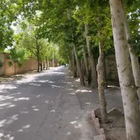 1000-مترباغ-سند-تک-برگ-شهرک-تیسفون