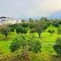 ارزانترین-زمین-منطقه-جنگلی-کاسبی-و-اقتصادی-شمال