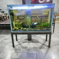 اکواربوم دهگلان