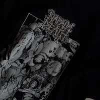 تیشرت خارجی زیر قیمت (AMIRI)|لباس|جیرفت, |دیوار