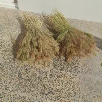 جارو|لوازم نظافت|خرم‌آباد, |دیوار