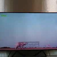 تلویزیون