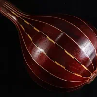 سه تار رزوود