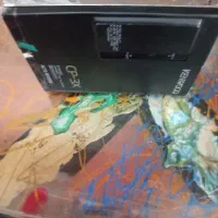 واکمن ژاپنی KENWOOD|پخش‌کننده همراه|شیراز, پشم شیشه|دیوار