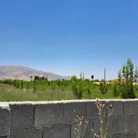 معاوضه دوباغشهرهماشهرباباغشهردهنو،تیون. سه میلیارد|فروش زمین و ملک کلنگی|همایجان, |دیوار