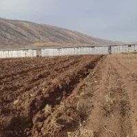 گیلان غرب زمین ۶۰۰۰ متری با سوله پرواربندی|فروش زمین و ملک کلنگی|گیلان غرب, |دیوار