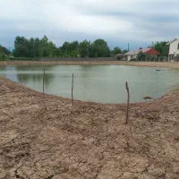 اجاره استخر ماهی گرم آبی