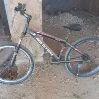 دوچرخه ۲۴ تنه بلند