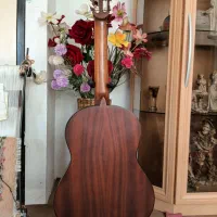 گیتار|گیتار، بیس، امپلیفایر|میاندوآب, |دیوار