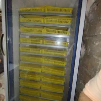 دستگاه جوجه کشی بلدرچین دماوند ۱۸۰۰ تایی