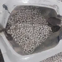 گلگیر تانگوی تویوتا|قطعات یدکی و لوازم جانبی|خاش, |دیوار