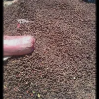 خرید ضایعات خرما