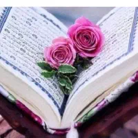 قاری قرآن