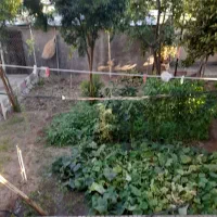 سویت ۴۵متری درشهر محلات|اجارهٔ کوتاه‌مدت آپارتمان و سوئیت|محلات, |دیوار