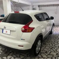 نیسان جوک ۲۰۱۴ منطفه|خودرو سواری و وانت|رشت, کاکتوس|دیوار