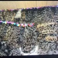 خریدارمو شما بانوان