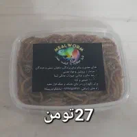 میلورم در بیرجند با قیمت مناسب|خزنده|تهران, خلیج فارس|دیوار
