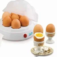 تخم مرغ پز ساینا